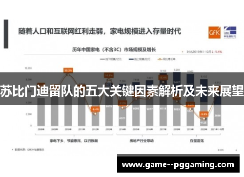 苏比门迪留队的五大关键因素解析及未来展望 苏比门迪留队的五大关键因素解析及未来展望