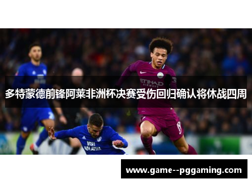 多特蒙德前锋阿莱非洲杯决赛受伤回归确认将休战四周